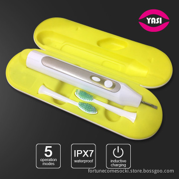 Inductive Portable Electric Toothbrush